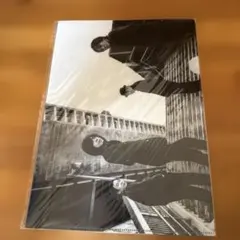 エレファントカシマシ ミュージシャン