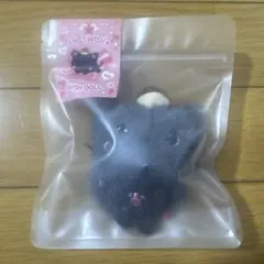 NCT WISH POCKET WISHDOLL リク ぬいぐるみ