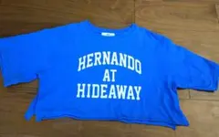 【サイズМ】WEGO　ショート丈Tシャツ ブルー　綿100%