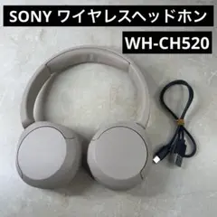 2026年最新】ソニー イヤホン 充電ケーブルの人気アイテム - メルカリ