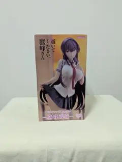 2026年最新】履いてください、鷹峰さん フィギュアの人気アイテム