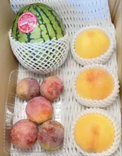 ２箱のみ★フルーツセット 夏っ子と太陽プラム クール便 フルーツセット 夏っ子と太陽プラム 大容量☆クール便 - メルカリ