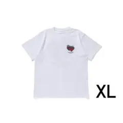 Item thumbnail for item 731719ae-38af-4a2e-a3dc-8b7c65d426f3