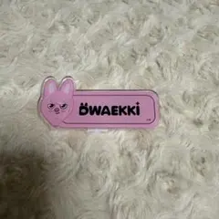 straykids スキズ　チャンビン　トゥエッキDWAEKKI ネームバッジ