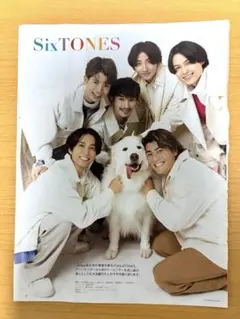 SixTONES 切り抜き 9枚セット 裏表印刷あり