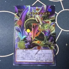 遊戯王 四天の龍 スターヴ・ヴェノム・フュージョン・ドラゴン オーバーフレーム