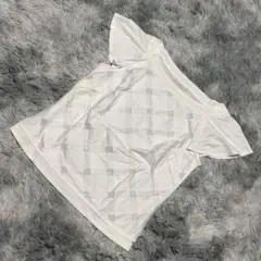 Item thumbnail for item d37f1f6e-4b8b-4dcd-8a38-37b9a8d97195