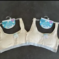 Item thumbnail for item 2ff449df-1085-49b9-8e15-7fd6a406d503