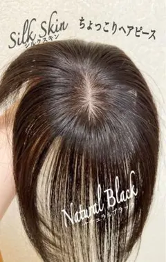 人毛100 ヘアピース【シルクスキン】ブラウン ポイントウィッグ トップ