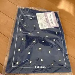 2025 ポケモン　一番くじ　トートバック