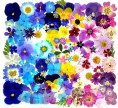 Item thumbnail for item 21d99f2b-046b-4bac-a94f-3b394d4ab63e