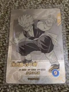 ドラゴンボール スーパーダイバーズ アドバンスパック 孫悟飯青年期 パラレル