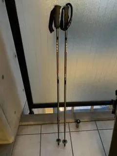 LEKI ELITE スキー用ストック