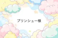 プリンシュー様専用ページ