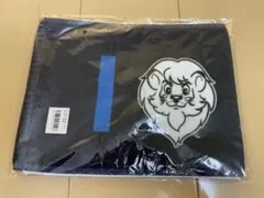 Item thumbnail for item a9d7375b-0671-46d1-b475-8c58c6e931c5