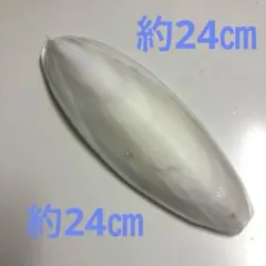 鳥用 カトルボーン イカの甲 24cmのサムネイル
