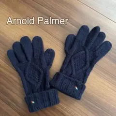 ArnoldPalmer 手袋 ネイビー