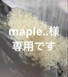オリエンタル酵母 EF 20kg マウス、ラット、ハムスター、ブリーダー用