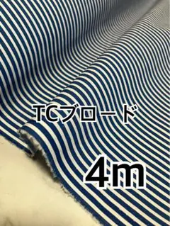 4m TCブロード ブルー　ボーダー　ハギレ　生地