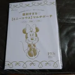 ゼクシィ　付録　ポーチ