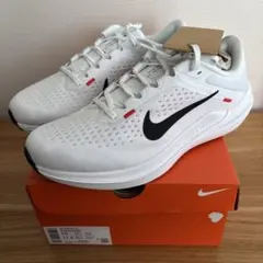 28cm　ナイキ　ランニング　シューズ　 DV4022 ウィンフロー 10
