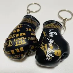 2026年最新】武尊 グローブの人気アイテム - メルカリ