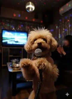 たまごっち シャカシャカチャームコレクション 2種セット