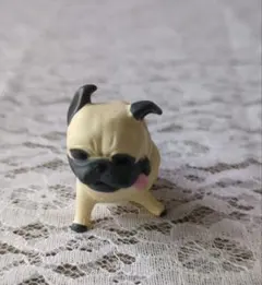 風にも負けず。パグ