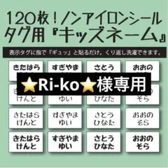 ⭐️Ri-ko⭐️様専用 キッズネーム アイロン不要 お名前布シール タグ用☆