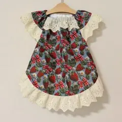 Item thumbnail for item 5f4de0dc-17ca-4498-aeda-7a8aa8c5a0fd