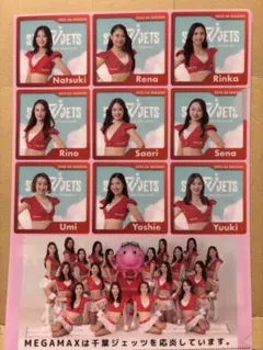 千葉ジェッツ 2025-26チアガールメンバー　クリアファイル