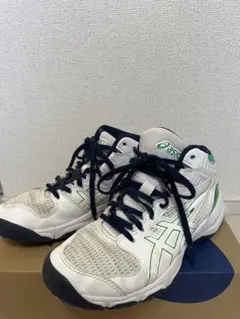 asics DUNK SHOT アシックス　バッシュ　ダンクショット 22.5