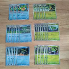 ポケモンカード　ハスボー　ハスブレロ　ルンパッパ　進化ライン　インフェルノ