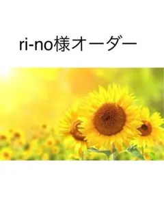 ri-no様オーダー専用