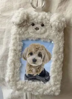 スリーコインズ　フォトケース　ペット　犬　わんちゃん　カードケース