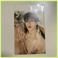 straykids スキズ hollow タワレコ 特典 フライヤー バンチャン