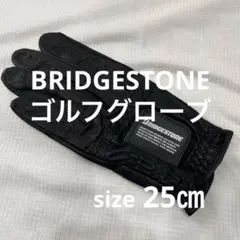 Item thumbnail for item d8ff278a-e38e-4df0-a7fb-e15754a71ddb