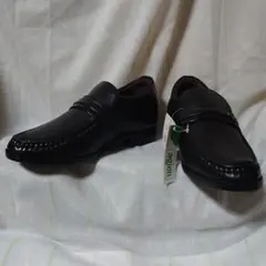 Item thumbnail for item ced58002-e97e-4565-9bf2-b17511433391