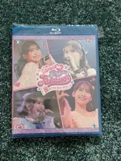 芹澤優 5th Live Tour 2024 ブルーレイ