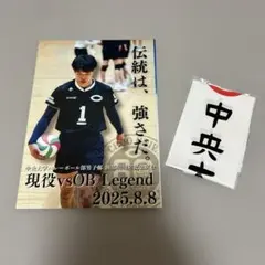 新品　中央大学バレーボール　シャツ サイズXL 2024年　サイズＯ　ラスト１ 新品 中央大学バレーボール シャツ サイズ XL or 2XL 2024年