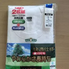 GUNZE 半袖Tシャツ 2枚組 Lサイズ
