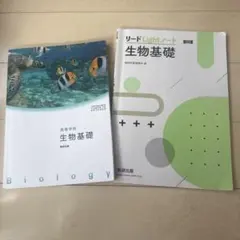 Item thumbnail for item 8cab4f7f-a83c-411b-b0b6-19a6d9fcb68c