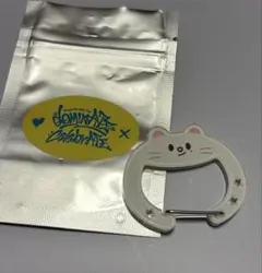 SKZOO SECRET ACRYLIC CARABINER カラビナジニレット