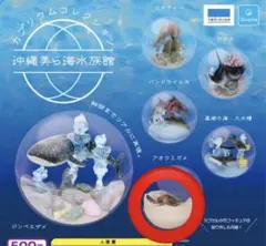【新品】美ら海水族館　ガチャ　カプリウムコレクション　アオウミガメ