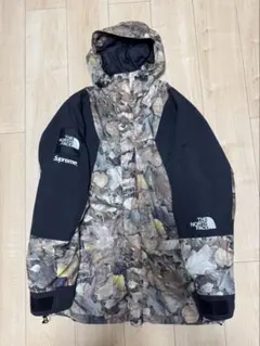 THE NORTH FACE × Supreme 16fw aw 枯葉