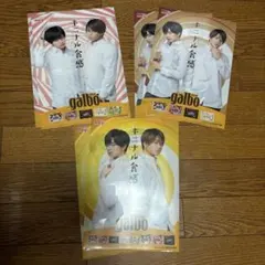 ガルボ クリアファイル 菊池風磨 中島健人 ふまけん 新品