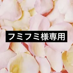 フミフミ様ご専用