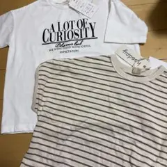 Item thumbnail for item 3f0c2d69-071e-49fb-9a40-316e11c0669e