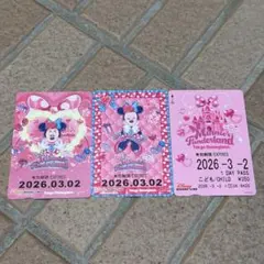 ミニー@ファンダーランド ミニー リゾートライン リゾラ ミニーの日