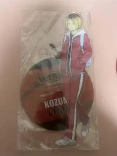 BIG アクリルスタンド ハイキュー 孤爪研磨